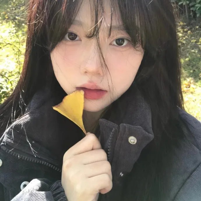 凯茜回家